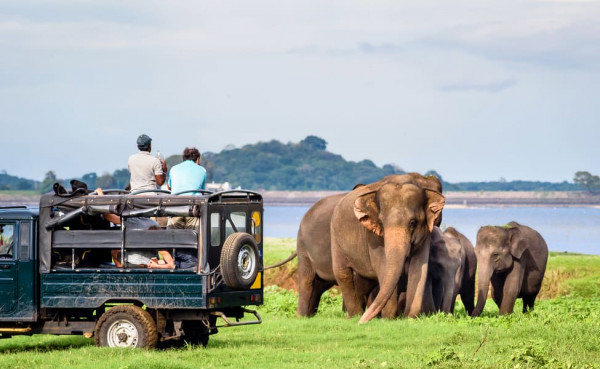 7 Days Tour in Sri Lanka