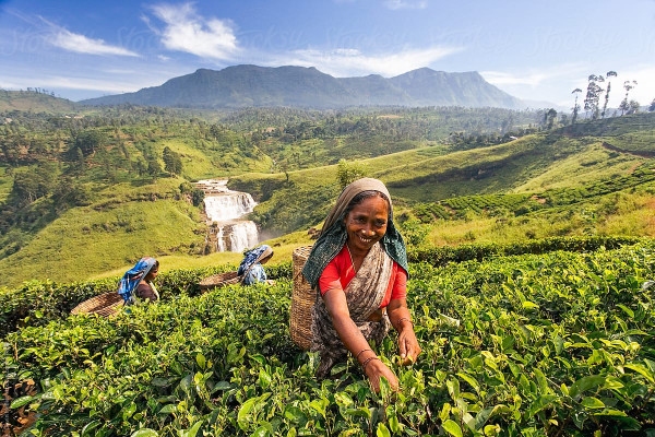4 Days Tour in Sri Lanka