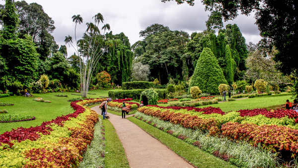 6 Days Tour in Sri Lanka